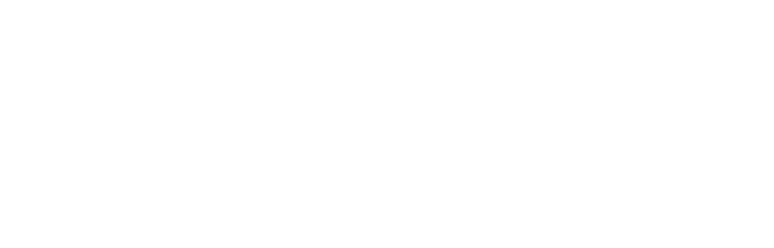 Travel partners